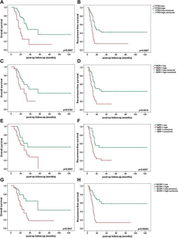https://cdn.ncbi.nlm.nih.gov/pmc/blobs/552d/4690288/61ab51d89051/13148_2015_166_Fig6_HTML.jpg