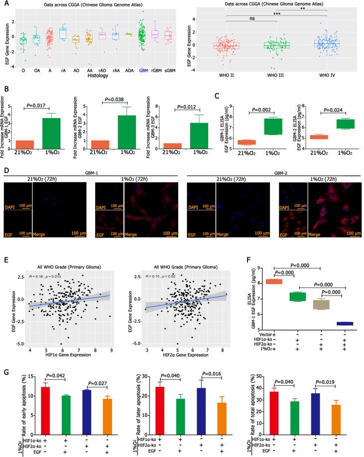 https://cdn.ncbi.nlm.nih.gov/pmc/blobs/552d/7990922/ea9faed231db/41419_2021_3598_Fig3_HTML.jpg