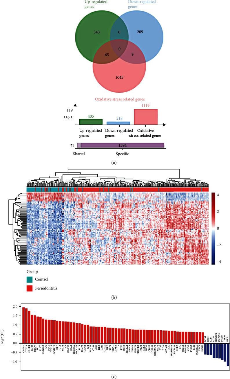 https://cdn.ncbi.nlm.nih.gov/pmc/blobs/552d/9489423/c90fc7f9ad3e/OMCL2022-9728172.003.jpg