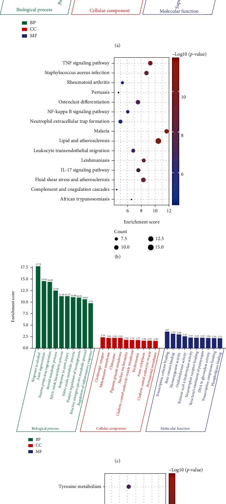https://cdn.ncbi.nlm.nih.gov/pmc/blobs/552d/9489423/f7bab0c00f3a/OMCL2022-9728172.004.jpg