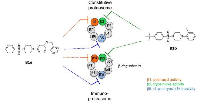 https://cdn.ncbi.nlm.nih.gov/pmc/blobs/552f/5354670/87a2c2b77b04/oncotarget-08-10437-g005.jpg