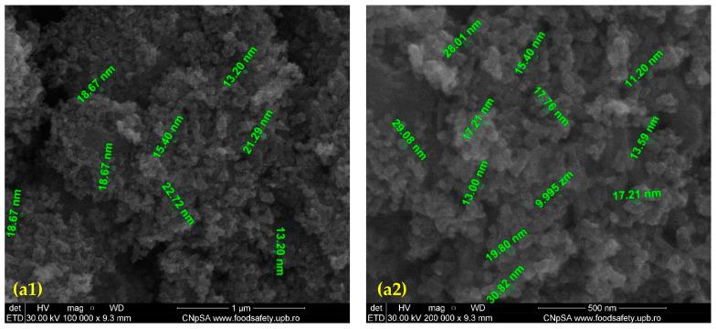 https://cdn.ncbi.nlm.nih.gov/pmc/blobs/5530/8540015/a7611d32cc0b/nanomaterials-11-02564-g002a.jpg