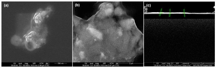 https://cdn.ncbi.nlm.nih.gov/pmc/blobs/5530/8540015/d07689e39588/nanomaterials-11-02564-g014.jpg