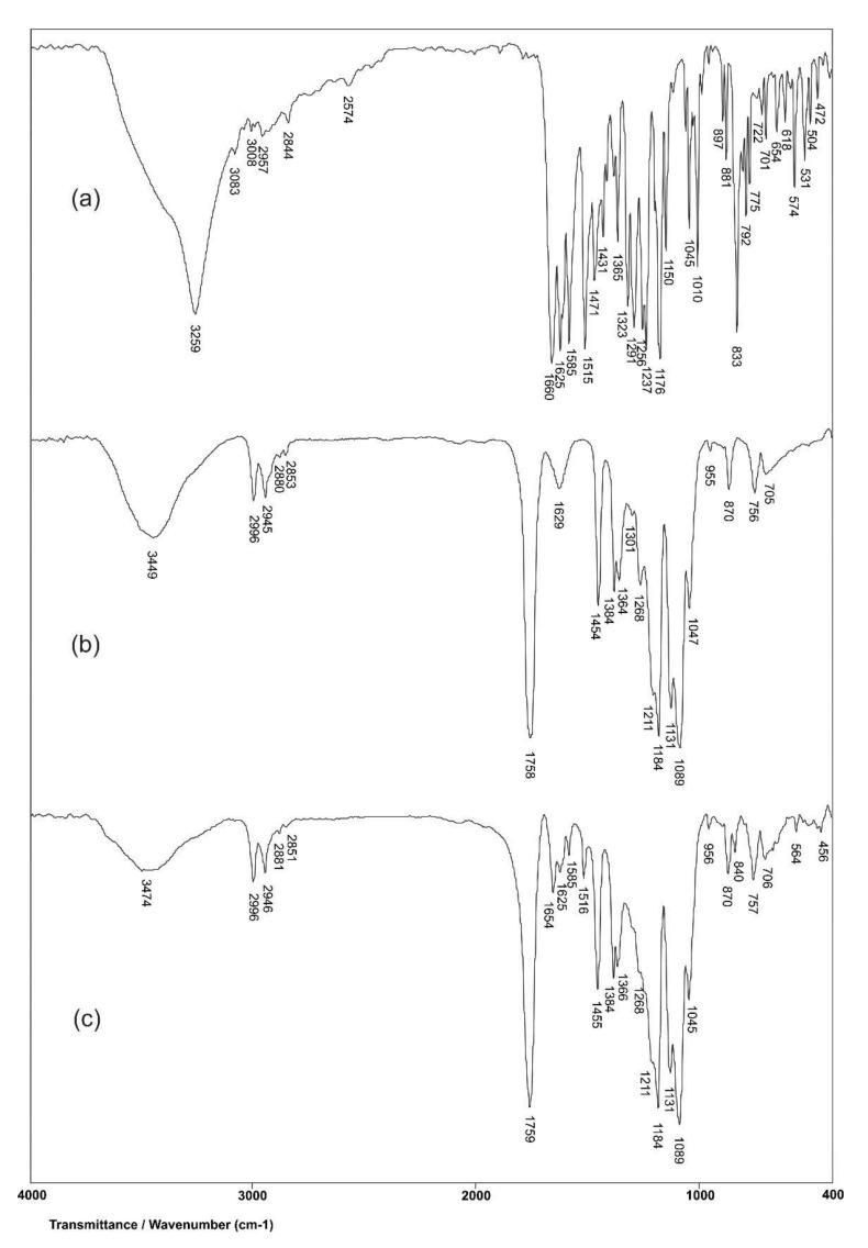 https://cdn.ncbi.nlm.nih.gov/pmc/blobs/5531/8951644/a546733daba6/pharmaceutics-14-00528-g004.jpg