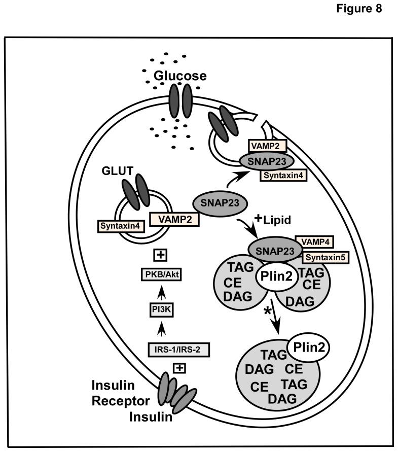 https://cdn.ncbi.nlm.nih.gov/pmc/blobs/5536/3765312/59343a65cba2/pone.0073696.g008.jpg