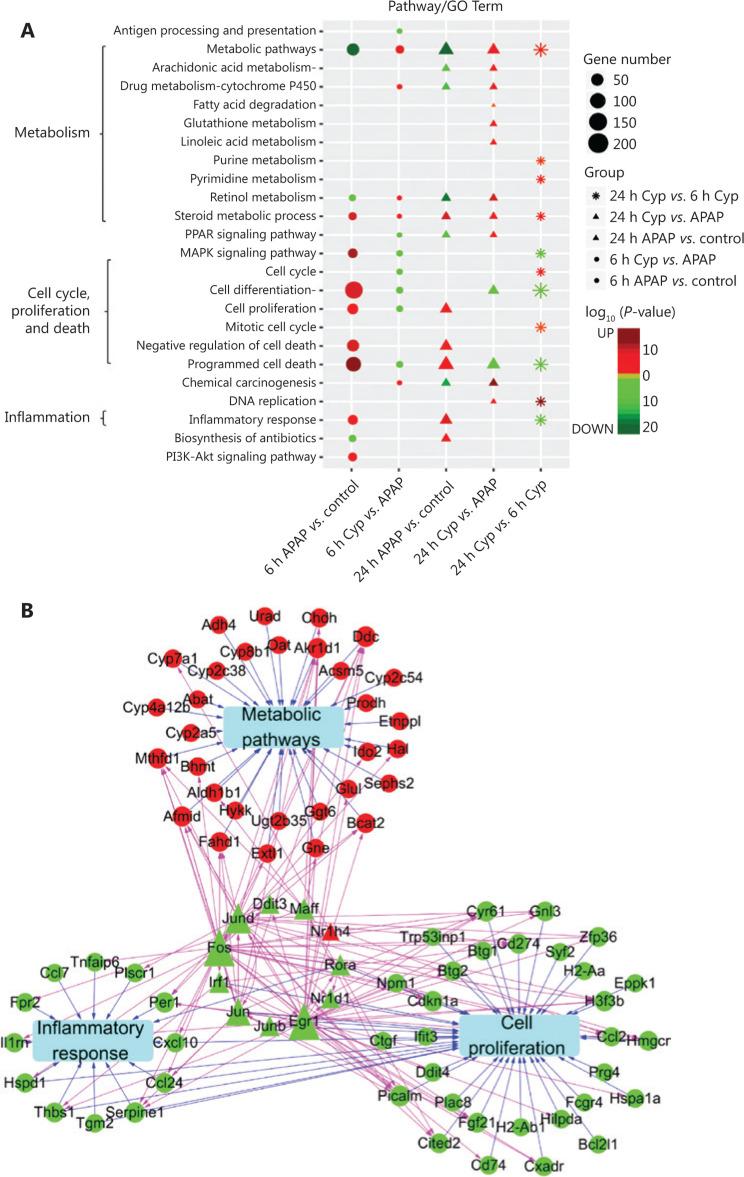 https://cdn.ncbi.nlm.nih.gov/pmc/blobs/5537/7309465/48962d98a265/cbm-17-401-g005.jpg