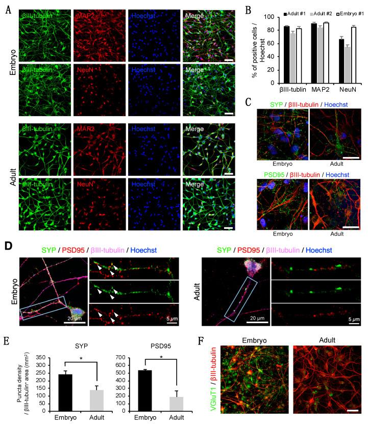 https://cdn.ncbi.nlm.nih.gov/pmc/blobs/5539/7822173/4213b483fe8f/cells-10-00006-g002.jpg