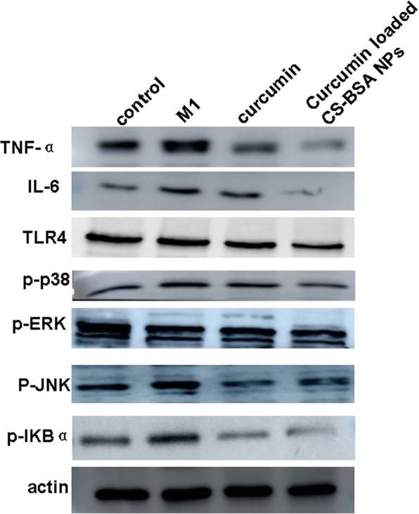 https://cdn.ncbi.nlm.nih.gov/pmc/blobs/553a/6197340/d139a6e75d2d/11671_2018_2759_Fig6_HTML.jpg