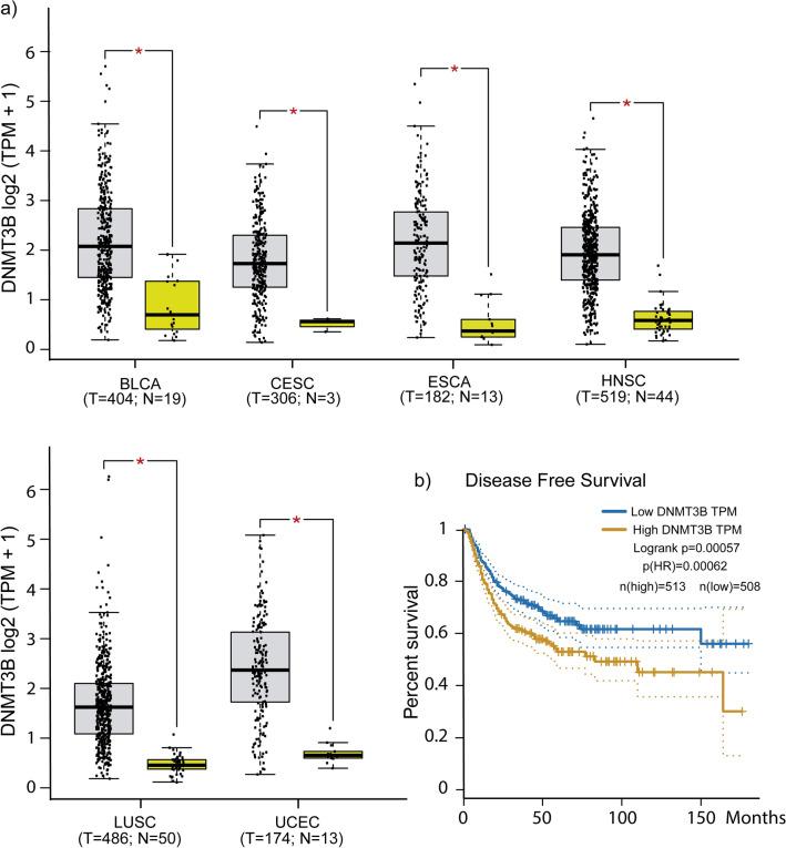 https://cdn.ncbi.nlm.nih.gov/pmc/blobs/553c/9718745/02ddbb8ae16f/41598_2022_24186_Fig3_HTML.jpg