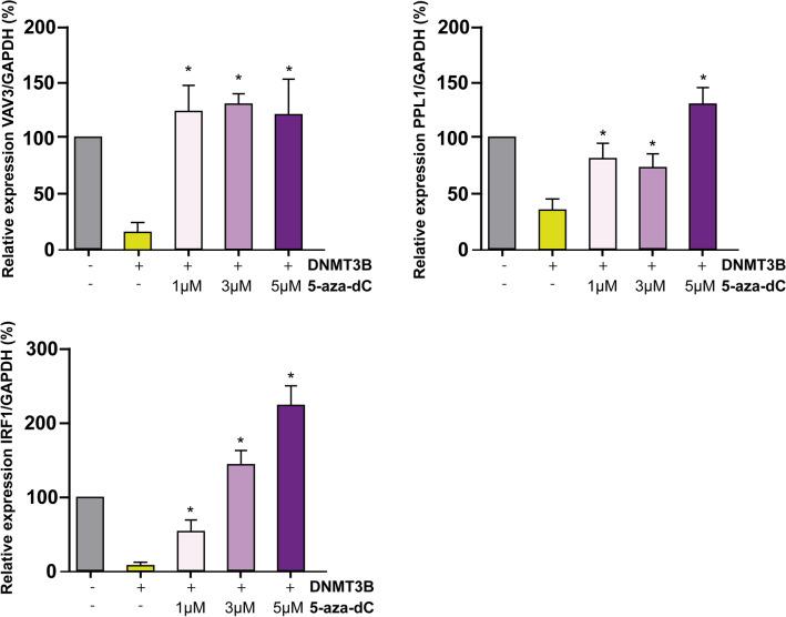 https://cdn.ncbi.nlm.nih.gov/pmc/blobs/553c/9718745/1a6acdda9ed2/41598_2022_24186_Fig5_HTML.jpg