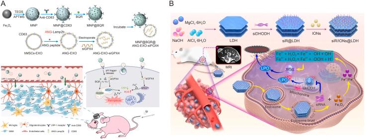 https://cdn.ncbi.nlm.nih.gov/pmc/blobs/553d/11318476/b5f52741cbff/gr11.jpg