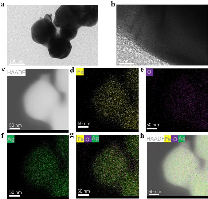 https://cdn.ncbi.nlm.nih.gov/pmc/blobs/553e/11937479/bf7849cbdcff/11671_2025_4232_Fig1_HTML.jpg