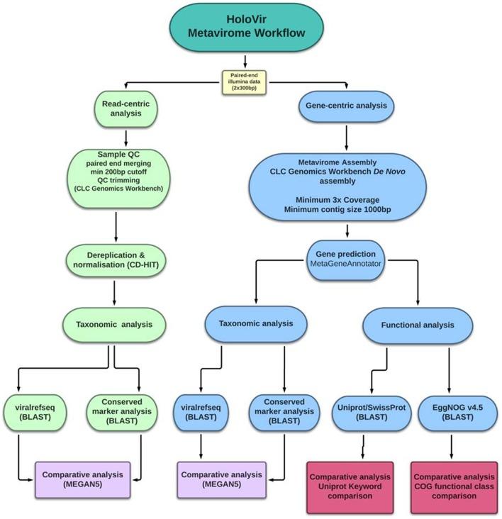 https://cdn.ncbi.nlm.nih.gov/pmc/blobs/553e/4899465/51f8d9c26cc7/fmicb-07-00822-g0001.jpg