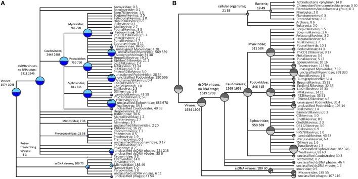 https://cdn.ncbi.nlm.nih.gov/pmc/blobs/553e/4899465/9fa171b86652/fmicb-07-00822-g0002.jpg