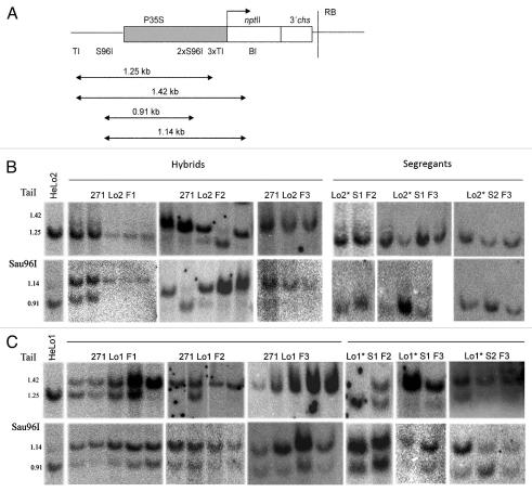 https://cdn.ncbi.nlm.nih.gov/pmc/blobs/553f/3121974/2faa0cec33d9/epi0605_0650_fig004.jpg