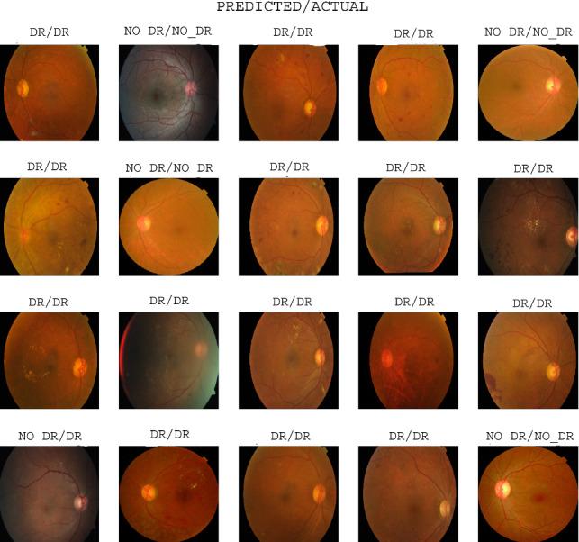 https://cdn.ncbi.nlm.nih.gov/pmc/blobs/553f/8051933/e28eed15fa7c/11760_2021_1904_Fig6_HTML.jpg
