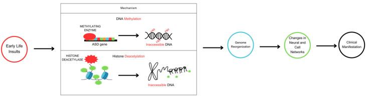 https://cdn.ncbi.nlm.nih.gov/pmc/blobs/5542/10531442/60dd744e66ac/genes-14-01734-g001.jpg