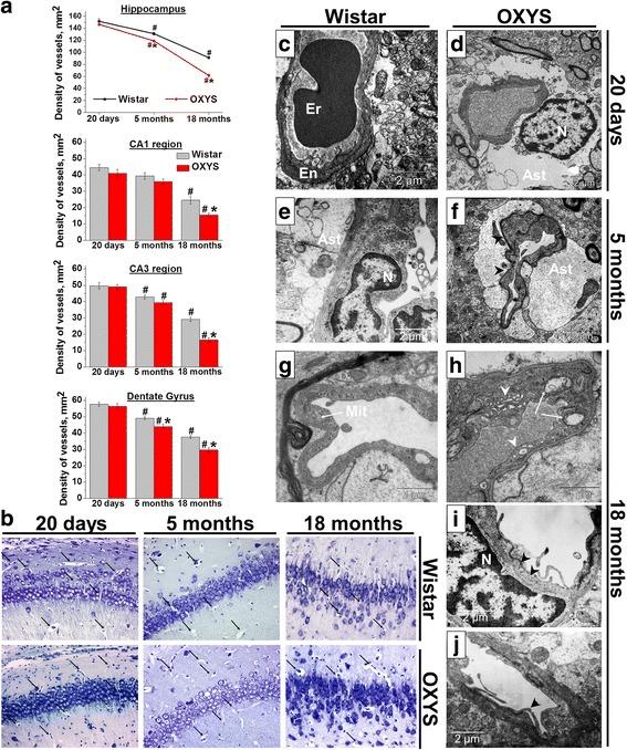 https://cdn.ncbi.nlm.nih.gov/pmc/blobs/5543/5836823/3ad7df4e5b00/12864_2018_4480_Fig1_HTML.jpg