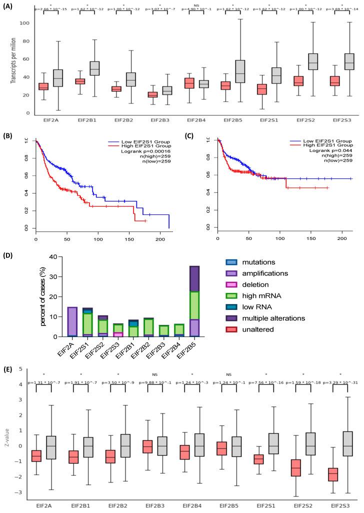 https://cdn.ncbi.nlm.nih.gov/pmc/blobs/5544/10670742/e9e06edf7823/cancers-15-05350-g001.jpg