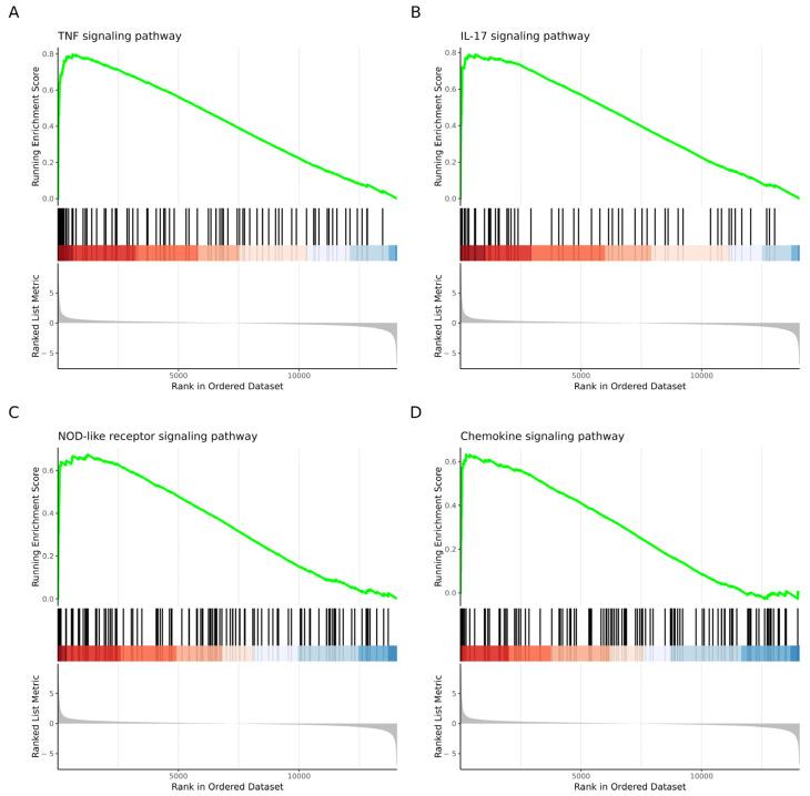 https://cdn.ncbi.nlm.nih.gov/pmc/blobs/5546/11240656/30d3551700da/cells-13-01161-g003.jpg