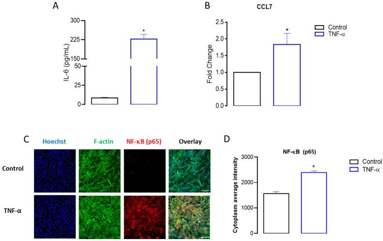 https://cdn.ncbi.nlm.nih.gov/pmc/blobs/5546/11240656/c3c6beee990a/cells-13-01161-g006.jpg