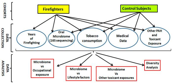 https://cdn.ncbi.nlm.nih.gov/pmc/blobs/5546/12114565/1a06a8cec491/microorganisms-13-01154-g001.jpg