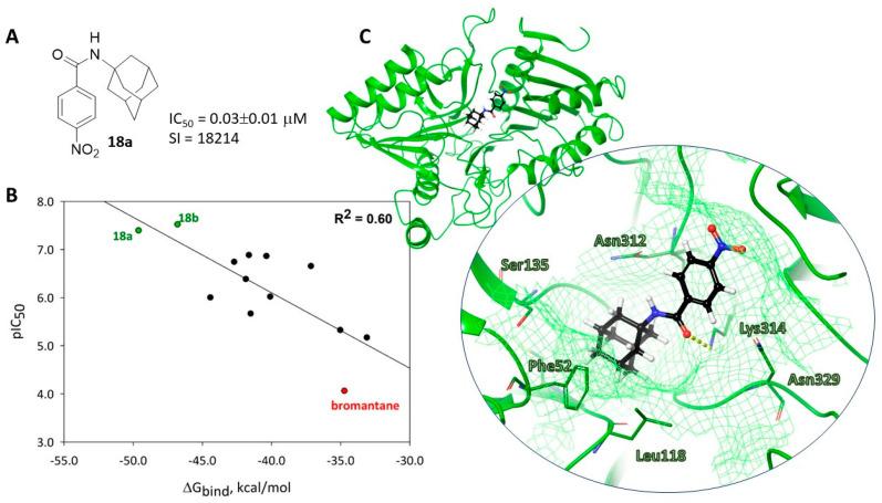 https://cdn.ncbi.nlm.nih.gov/pmc/blobs/5548/9865139/429712d0dd36/viruses-15-00029-g007.jpg