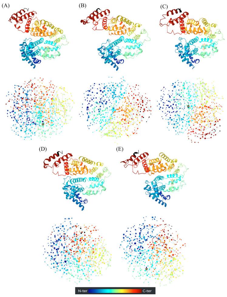 https://cdn.ncbi.nlm.nih.gov/pmc/blobs/5549/12300129/3345b56249c6/pharmaceuticals-18-01048-g009.jpg
