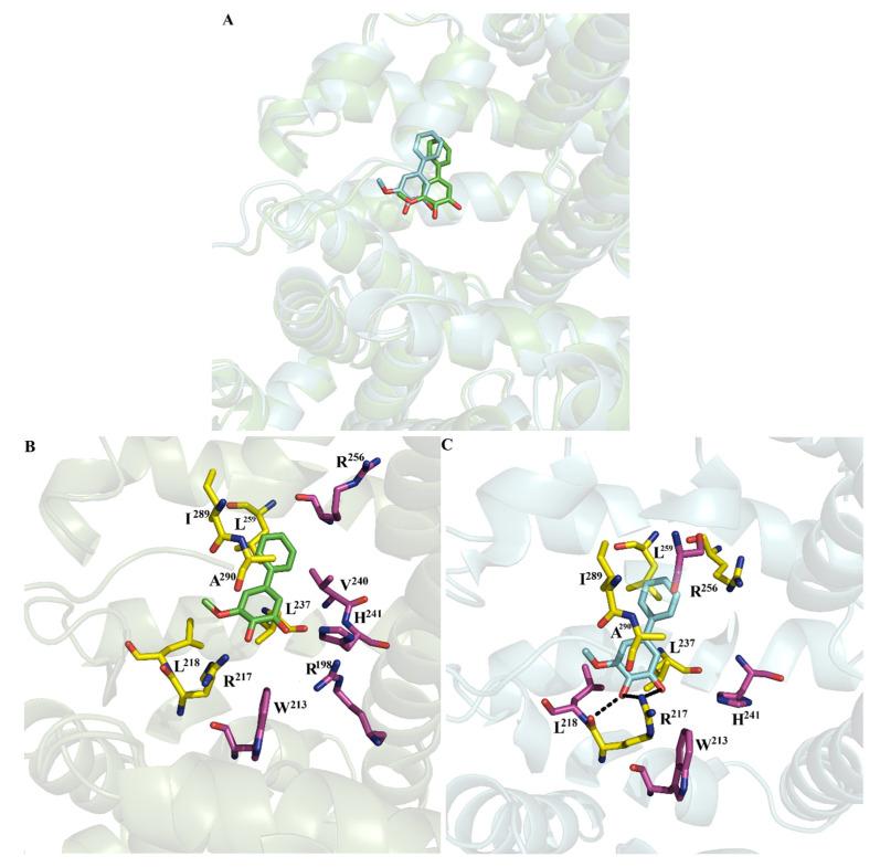 https://cdn.ncbi.nlm.nih.gov/pmc/blobs/5549/12300129/fba6293710d0/pharmaceuticals-18-01048-g005.jpg