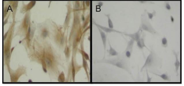 https://cdn.ncbi.nlm.nih.gov/pmc/blobs/5549/5915708/20ab08c22c78/bi-8-5-g002.jpg