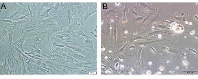 https://cdn.ncbi.nlm.nih.gov/pmc/blobs/5549/5915708/26000c54fe2b/bi-8-5-g003.jpg