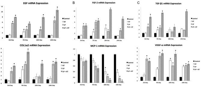 https://cdn.ncbi.nlm.nih.gov/pmc/blobs/5549/5915708/802a9f36172f/bi-8-5-g007.jpg