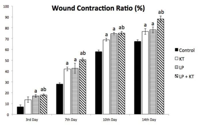 https://cdn.ncbi.nlm.nih.gov/pmc/blobs/5549/5915708/e3720cedb0a7/bi-8-5-g006.jpg