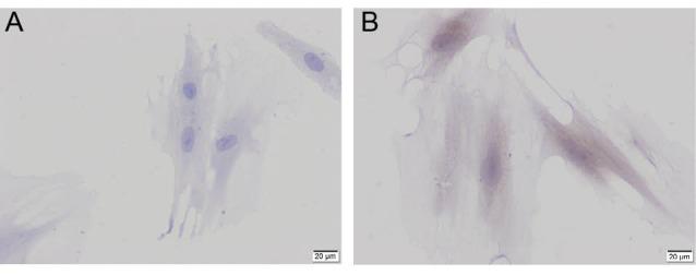 https://cdn.ncbi.nlm.nih.gov/pmc/blobs/5549/5915708/fda1aad1fd14/bi-8-5-g004.jpg