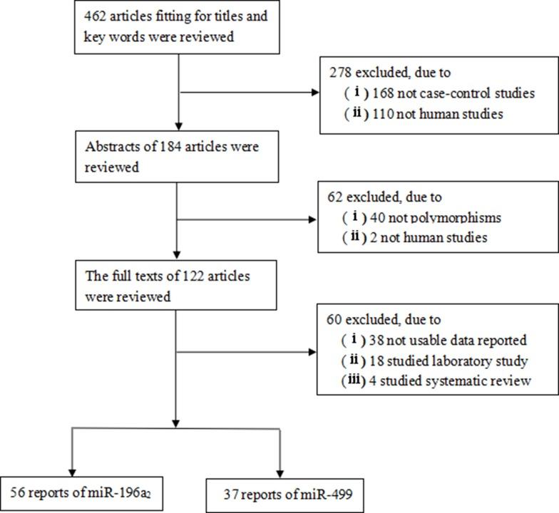 https://cdn.ncbi.nlm.nih.gov/pmc/blobs/554a/5768408/0442b31eae35/oncotarget-08-114344-g001.jpg