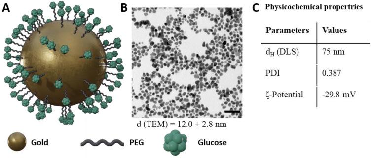 https://cdn.ncbi.nlm.nih.gov/pmc/blobs/554b/9367297/d63e0f4285db/cells-11-02323-g001.jpg