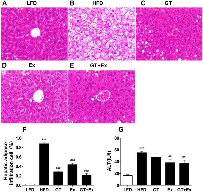 https://cdn.ncbi.nlm.nih.gov/pmc/blobs/554c/7001212/77904b927e76/12986_2020_433_Fig2_HTML.jpg