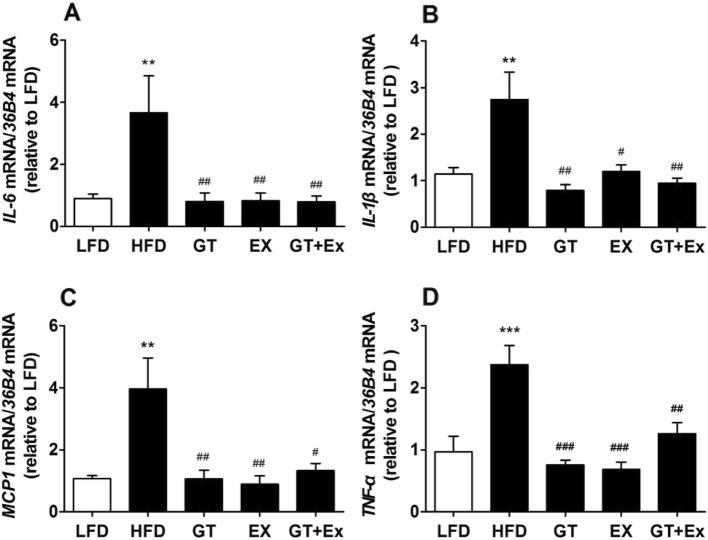 https://cdn.ncbi.nlm.nih.gov/pmc/blobs/554c/7001212/77f8f59bbeae/12986_2020_433_Fig5_HTML.jpg