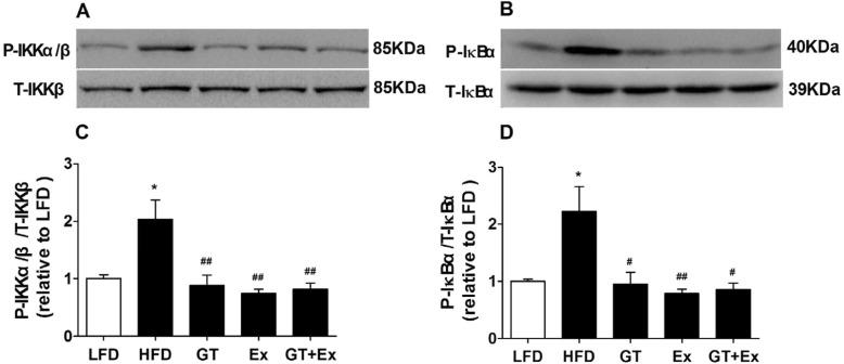 https://cdn.ncbi.nlm.nih.gov/pmc/blobs/554c/7001212/de8a403c9c19/12986_2020_433_Fig6_HTML.jpg