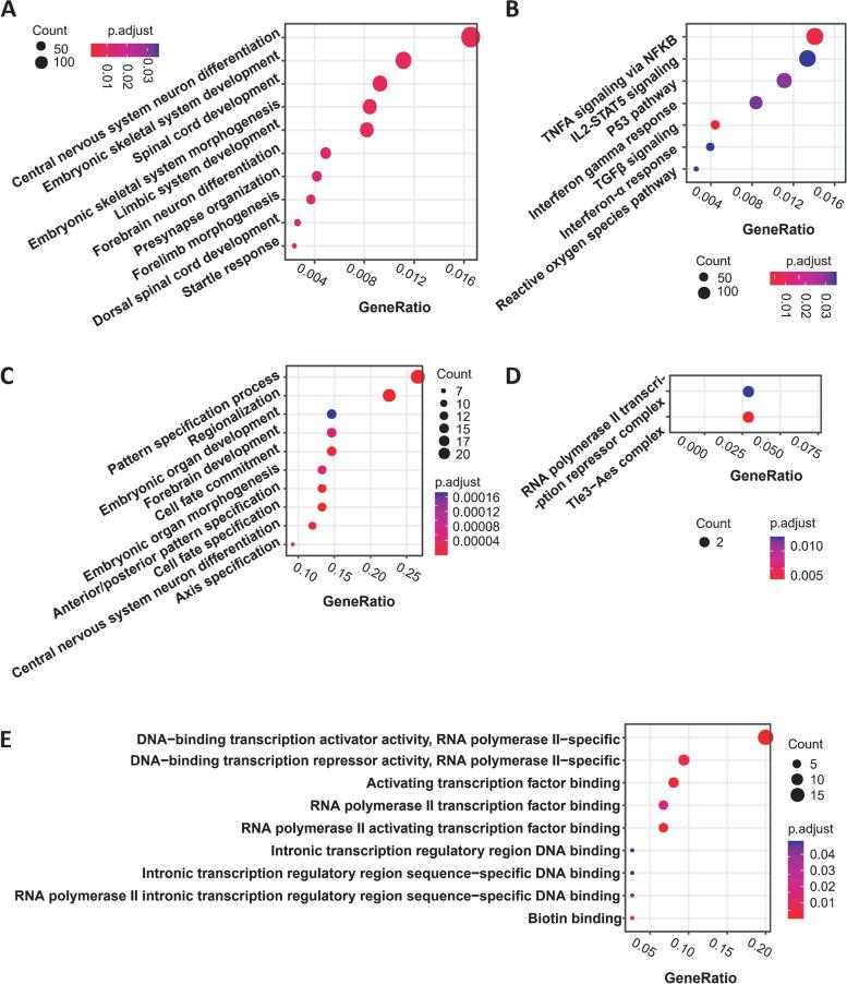 https://cdn.ncbi.nlm.nih.gov/pmc/blobs/554c/9701032/7194a3a37f82/12916_2022_2647_Fig3_HTML.jpg