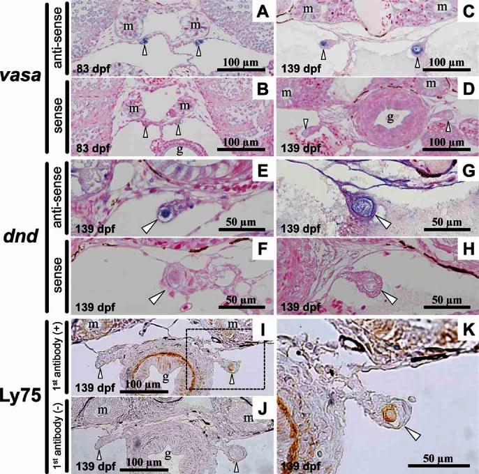 https://cdn.ncbi.nlm.nih.gov/pmc/blobs/554e/3664433/5276ef107f63/mrd0080-0118-f3.jpg