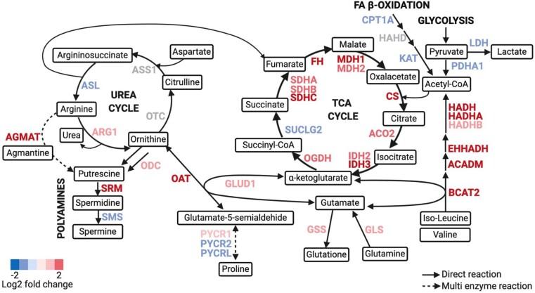https://cdn.ncbi.nlm.nih.gov/pmc/blobs/5550/8553616/71b2f9e07fb7/41590_2021_1043_Fig9_ESM.jpg