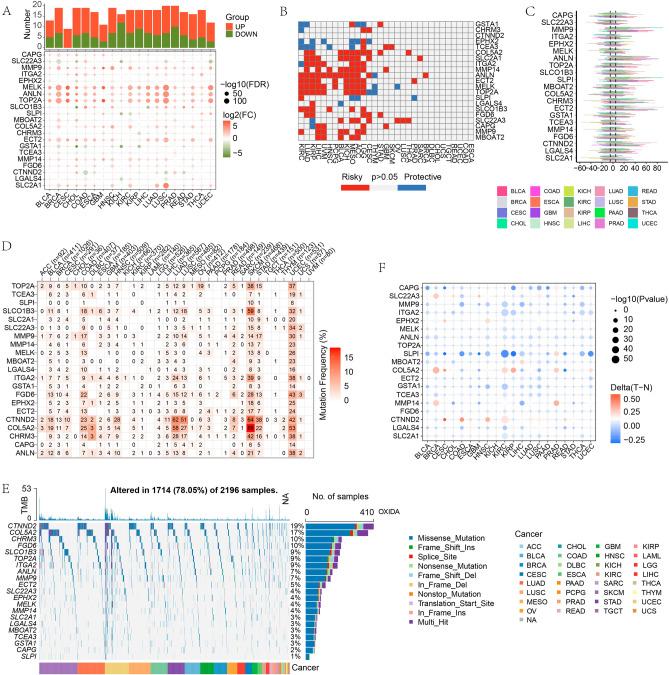 https://cdn.ncbi.nlm.nih.gov/pmc/blobs/5553/10442332/49dec3fdd776/41598_2023_40560_Fig4_HTML.jpg