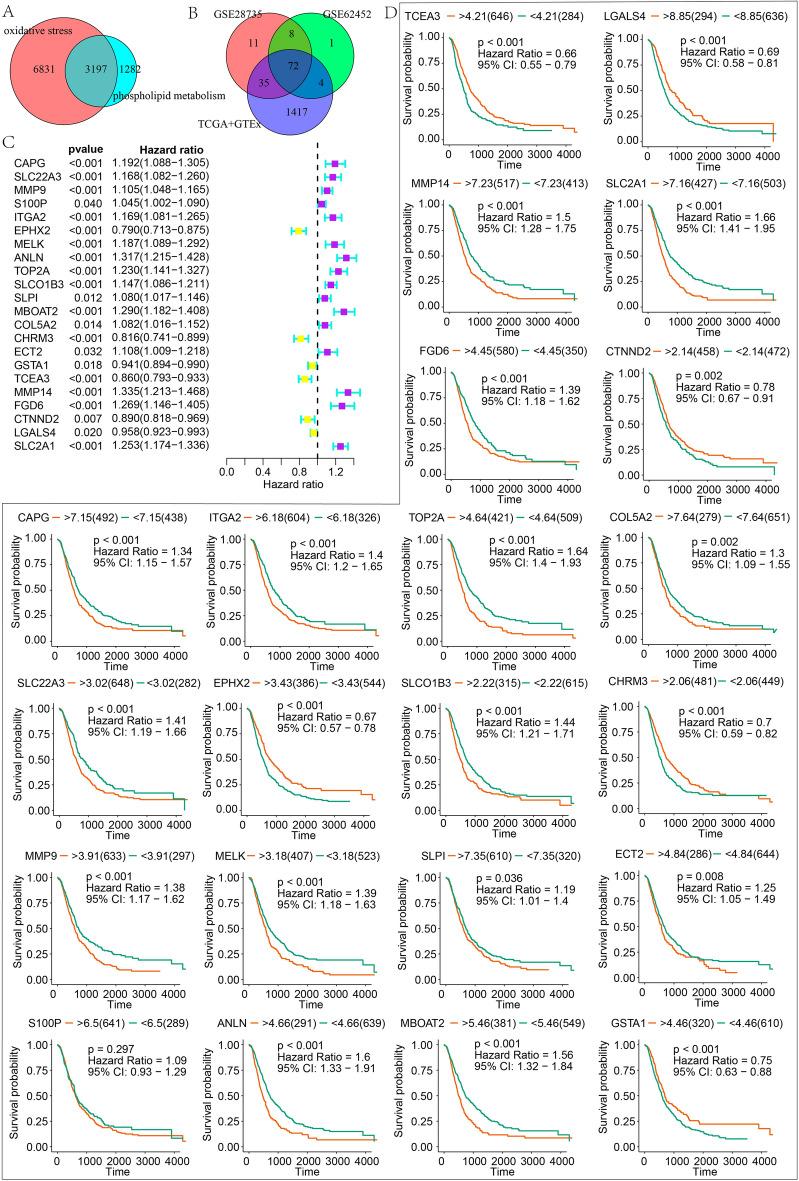 https://cdn.ncbi.nlm.nih.gov/pmc/blobs/5553/10442332/7a339b7fe535/41598_2023_40560_Fig3_HTML.jpg