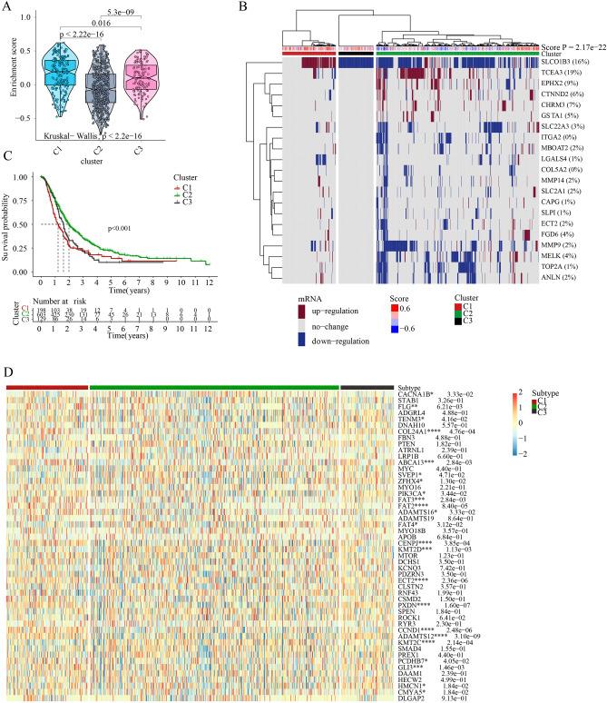 https://cdn.ncbi.nlm.nih.gov/pmc/blobs/5553/10442332/8dbfc9d915ec/41598_2023_40560_Fig5_HTML.jpg