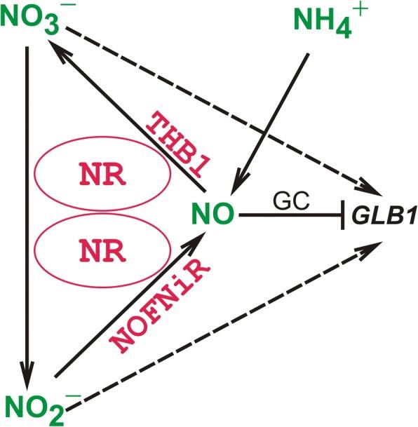 https://cdn.ncbi.nlm.nih.gov/pmc/blobs/5554/6258461/a4f187470fed/12870_2018_1540_Fig7_HTML.jpg