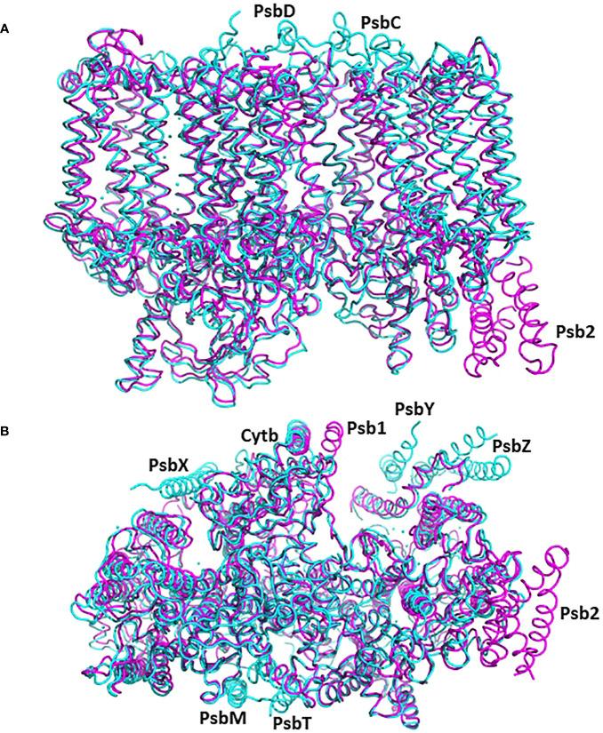 https://cdn.ncbi.nlm.nih.gov/pmc/blobs/5558/10844431/d09a3d23e713/fpls-14-1334608-g004.jpg