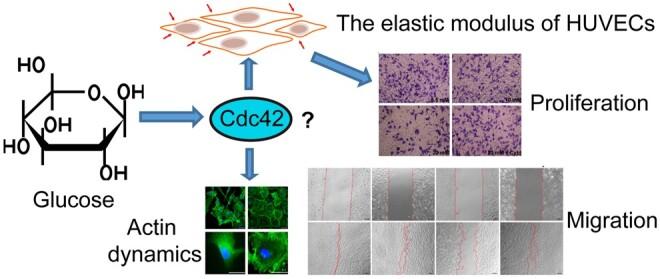 https://cdn.ncbi.nlm.nih.gov/pmc/blobs/5558/10858347/65903a5eab3c/rbae004f7.jpg