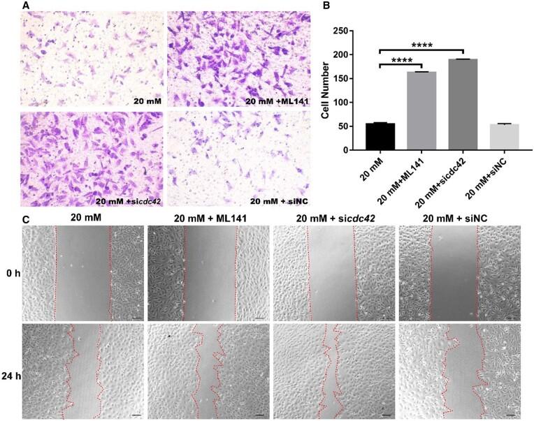 https://cdn.ncbi.nlm.nih.gov/pmc/blobs/5558/10858347/6735f15b575f/rbae004f6.jpg