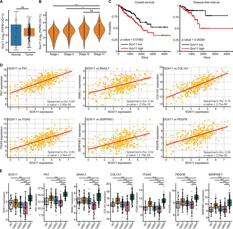 https://cdn.ncbi.nlm.nih.gov/pmc/blobs/5558/12092639/67cb4e333461/41389_2025_560_Fig6_HTML.jpg